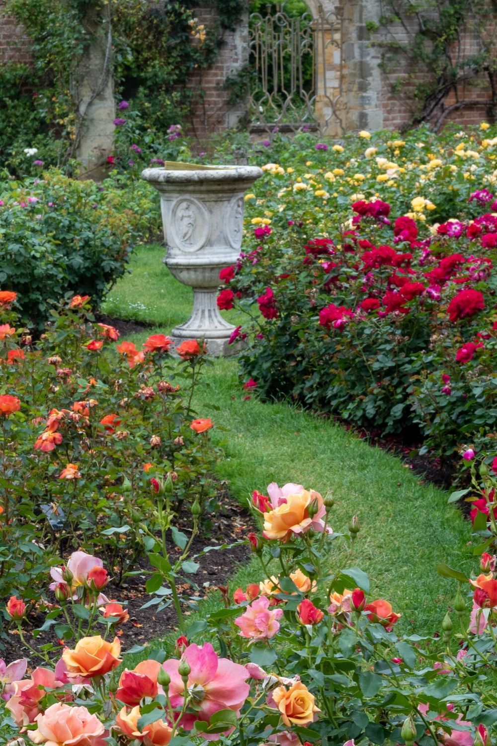 Creating a Radiant and Blissful Rose Garden