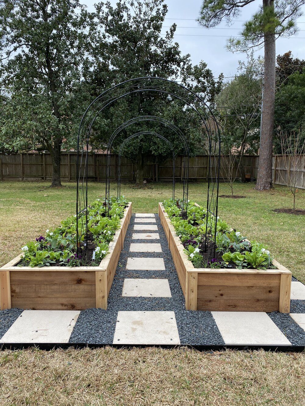 Creating a Raised Garden for Your Plants