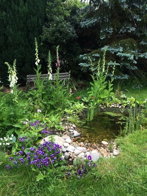 Creating a Serene Oasis: How Garden Ponds can Transform Your Outdoor Space