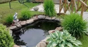 garden ponds