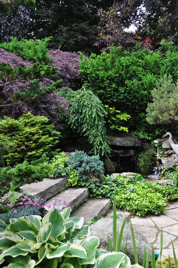 Creating a Serene Oasis in Your Backyard With a Beautiful Garden Pond