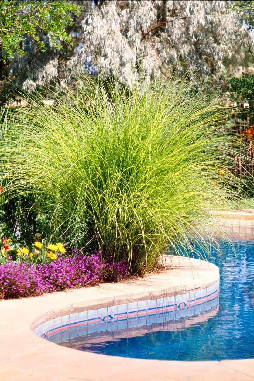Creating a Serene Outdoor Oasis: Pool Landscaping Ideas to Transform Your Space