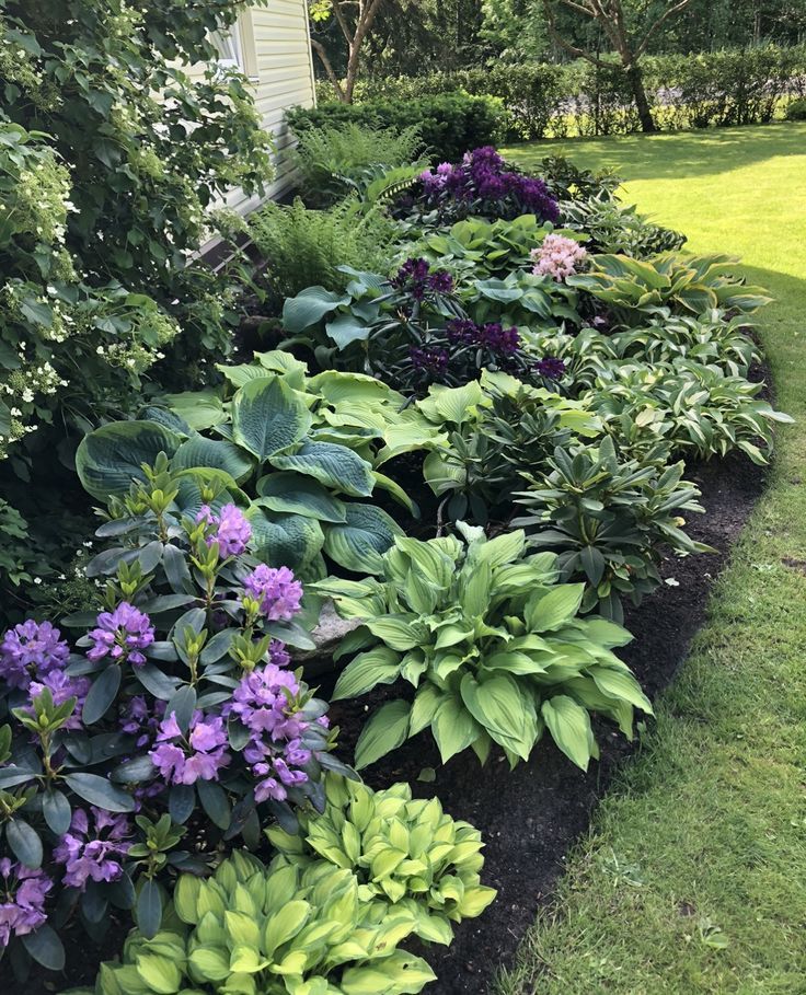 Creating a Serene and Lush Garden Retreat with Shade Planting Ideas