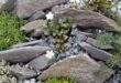 rock garden design