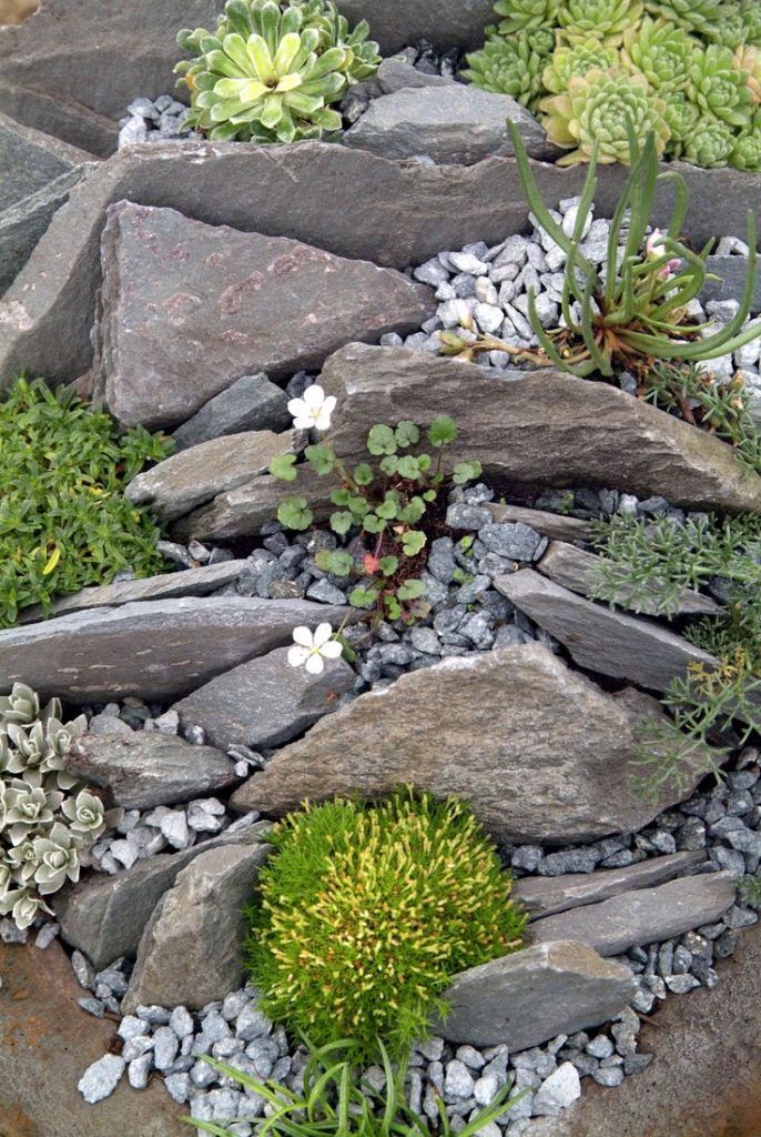 rock garden design