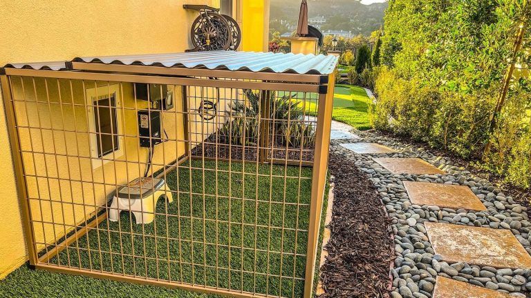 Creating a Spacious Play Area for Your Canine Companion in the Side Yard