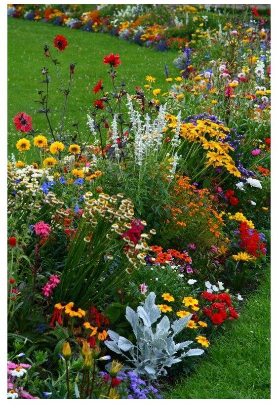 Creating a Stunning Backyard Flower Garden: Inspiration and Ideas