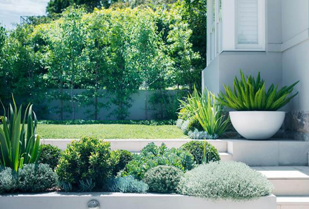 Creating a Stunning Front Yard Landscape: Design Tips and Ideas