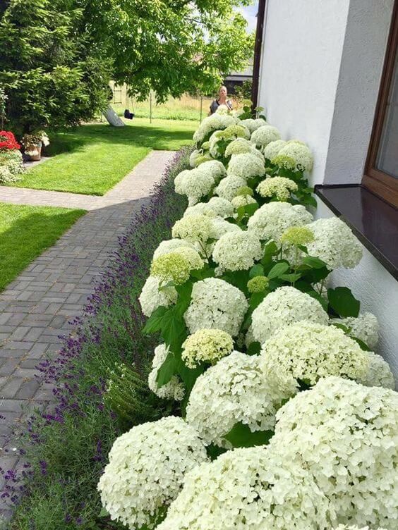 Creating a Stunning Front Yard Landscape: Fresh Ideas for Your Outdoor Space