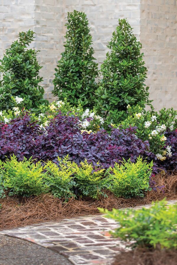 Creating a Stunning Front Yard Landscape: Ideas to Boost Curb Appeal