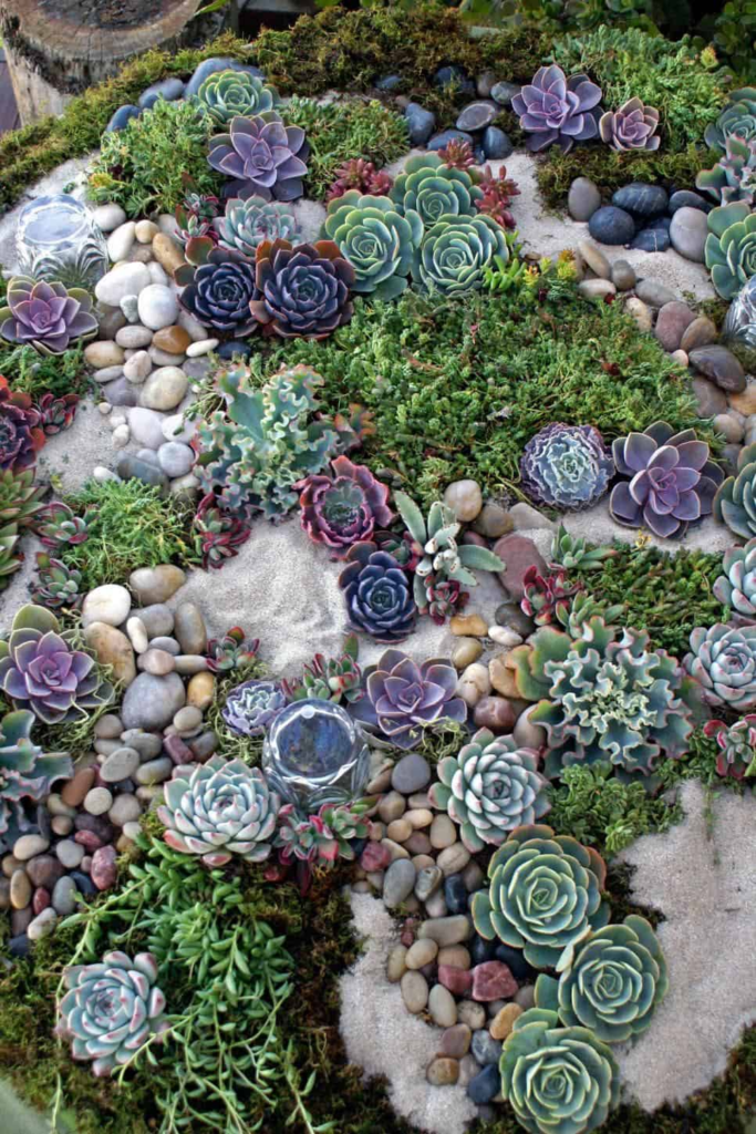 garden design with rocks