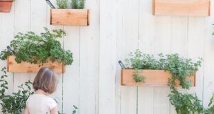 garden planter wall