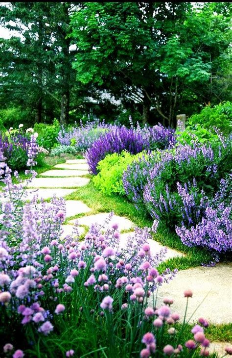 Creating a Stunning Garden with a Variety of Colorful Flowers