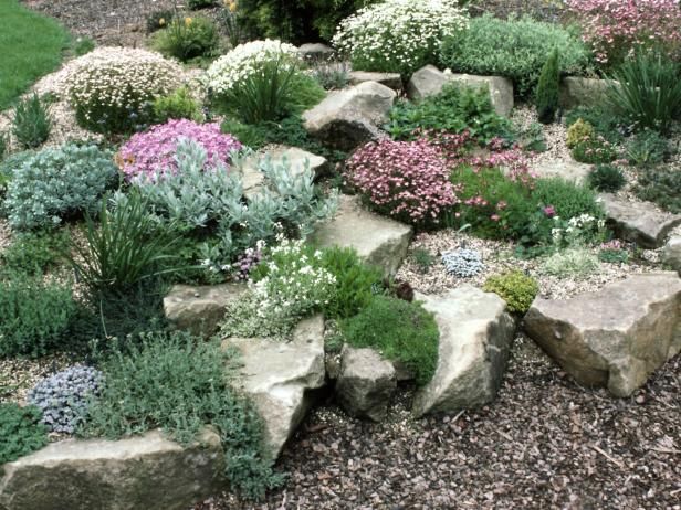 Creating a Stunning Rock Garden: A Guide to Designing Your Own Oasis