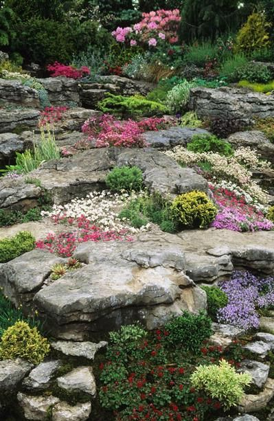 rock garden design