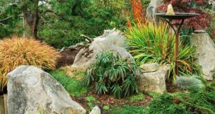 rock garden design