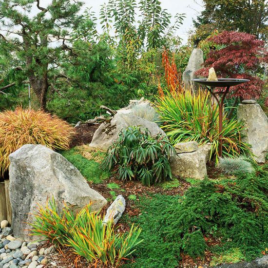 Creating a Stunning Rock Garden: Tips for a Beautiful Landscape