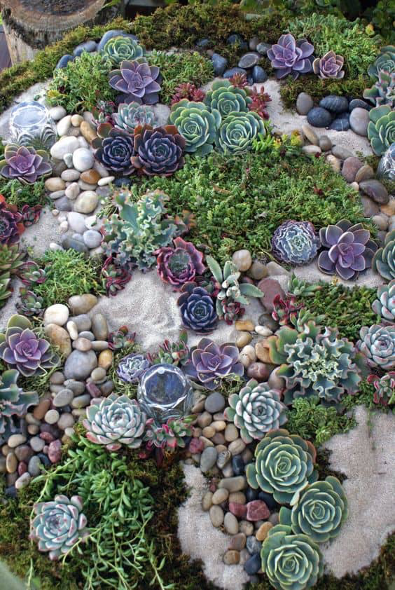 Creating a Stunning Rock Garden for Your Outdoor Space