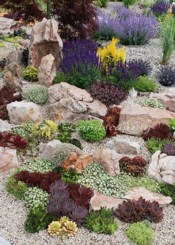 Creating a Stunning Rockery for Your Garden
