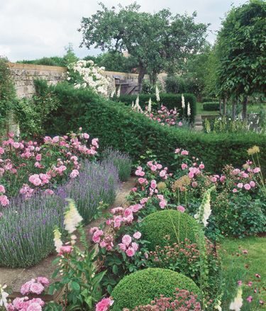 Creating a Stunning Rose Garden: A Guide to Designing Your Own Floral Paradise