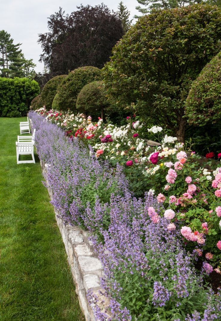 Creating a Stunning Rose Garden: Tips and Ideas for Design and Layout