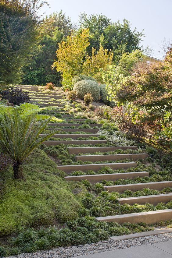 sloped backyard landscaping