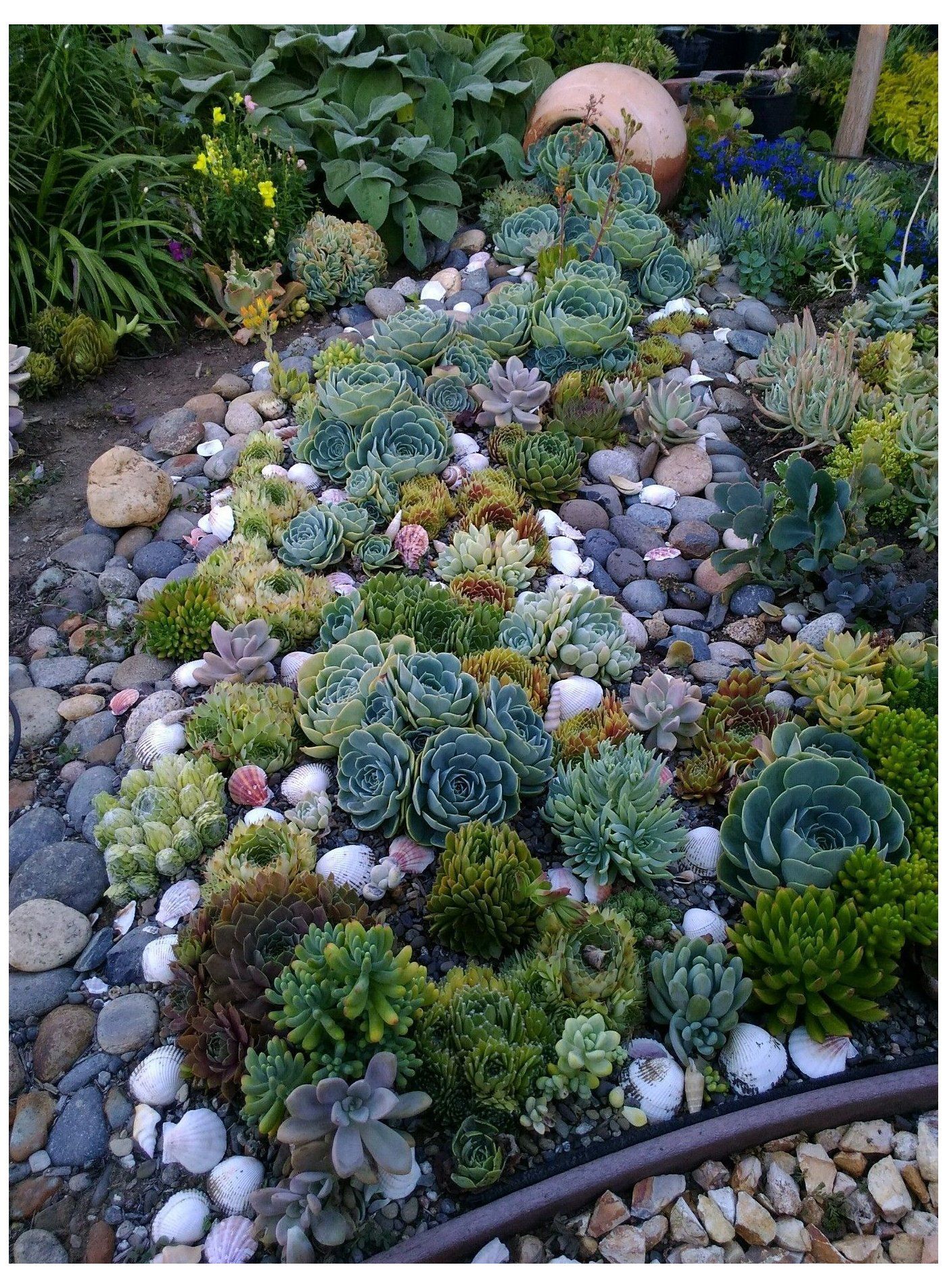 Creating a Stunning Succulent Garden: Design Ideas for Your Outdoor Oasis