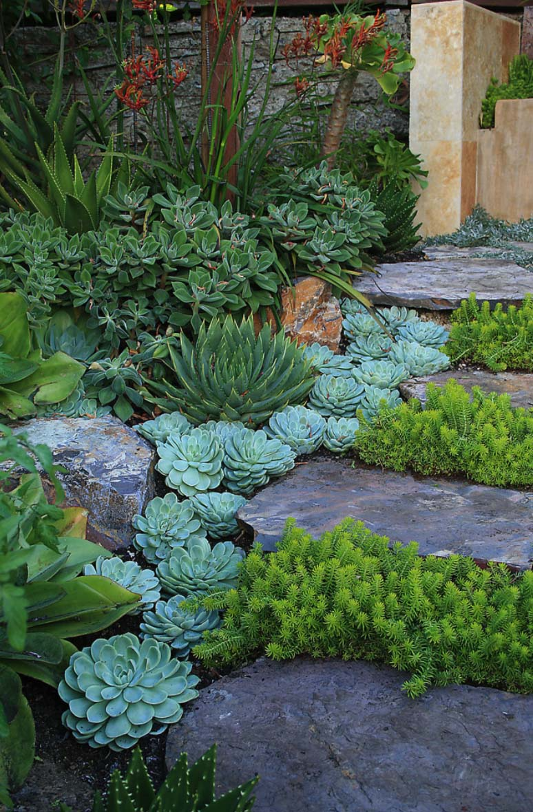 Creating a Stunning Succulent Garden Design for Your Outdoor Space