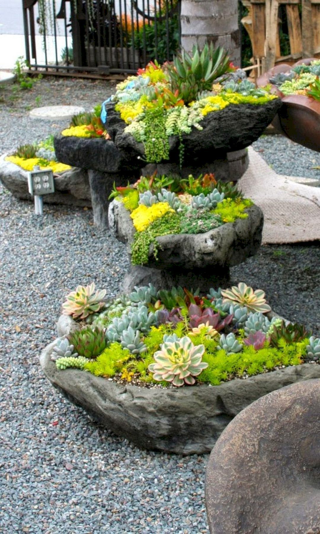 Creating a Stunning Succulent Garden: The Ultimate Guide to Designing a Lush Oasis