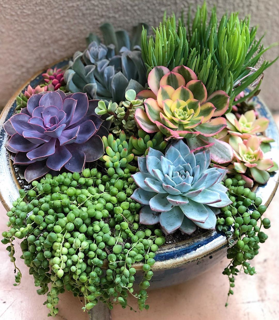 Creating a Stunning Succulent Garden: Tips for Designing a Beautiful Outdoor Space
