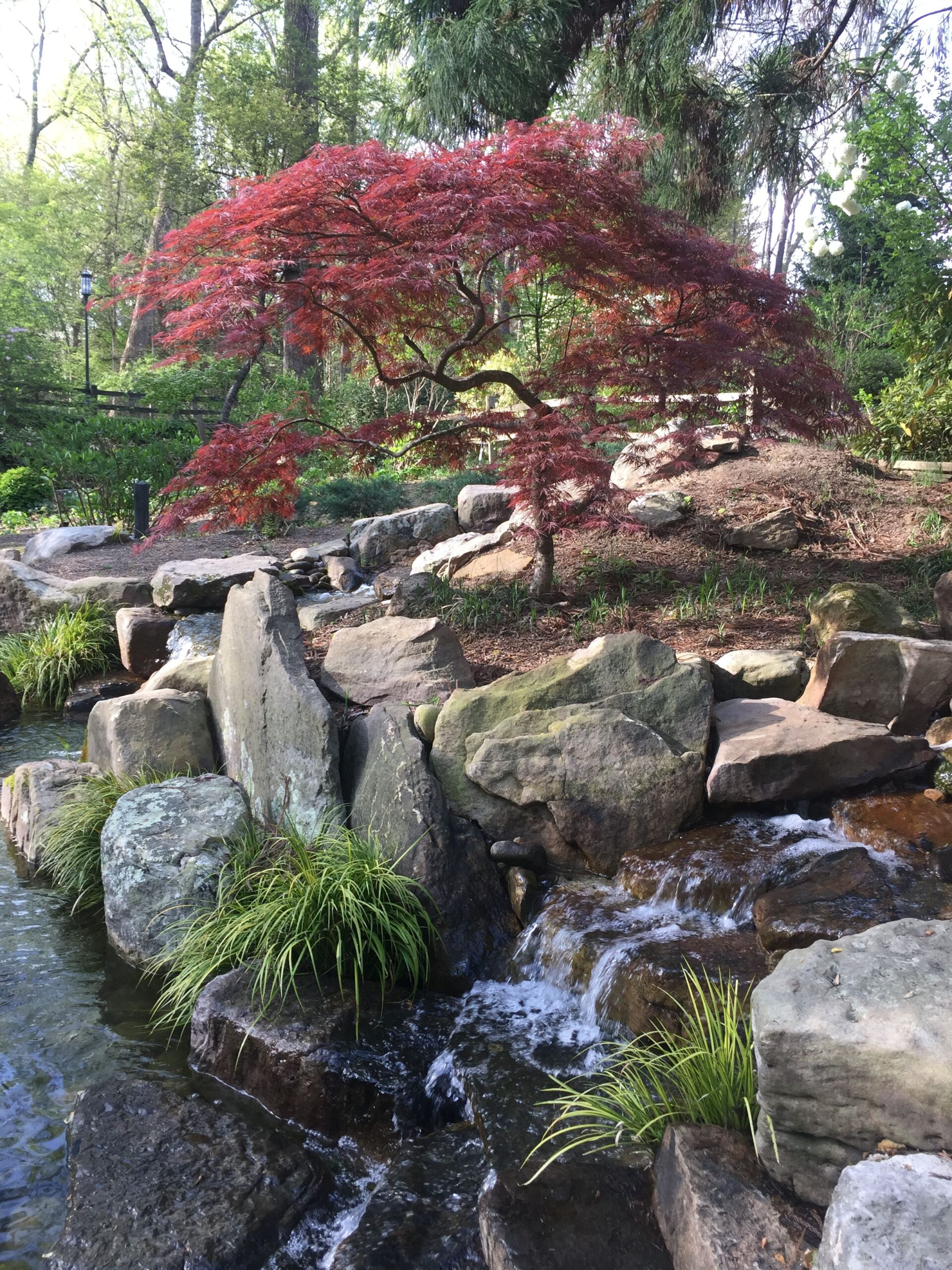 Creating a Tranquil Oasis: The Beauty of Garden Waterfalls