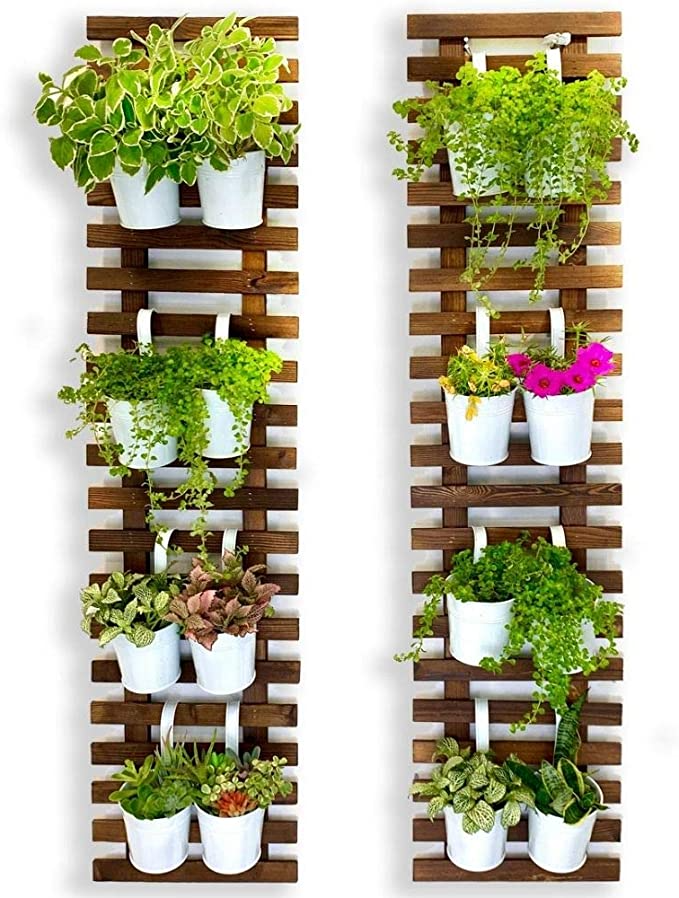 Creating a Vertical Garden with Garden Planter Wall