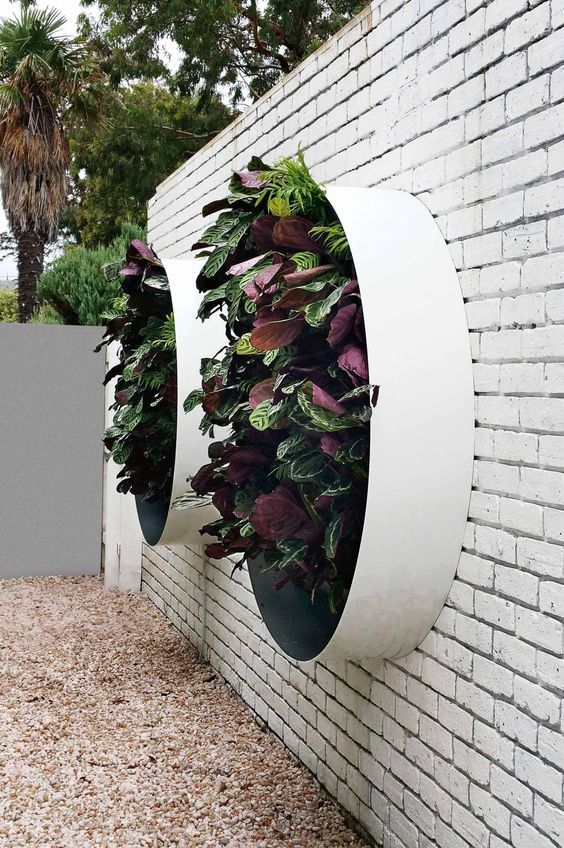 Creating a Vertical Garden with Garden Planter Walls