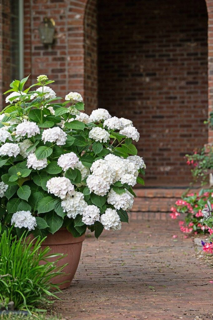 landscaping with potted plants