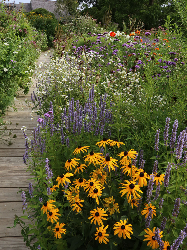 pollinator garden design