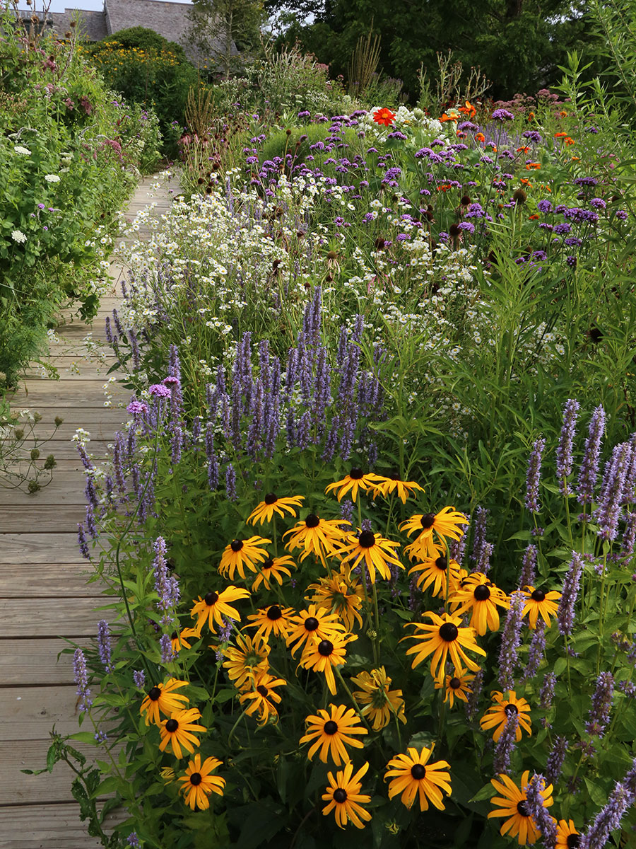 Creating a Vibrant Pollinator-Friendly Garden with Thoughtful Design