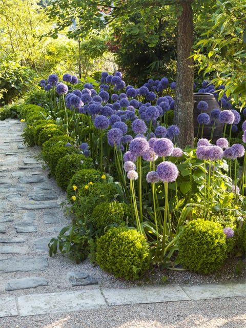 Creating an Enchanting Garden Landscape Design