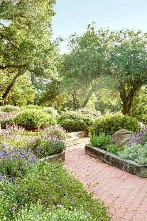 Creating an Expansive Oasis: Transforming Your Backyard with Large-Scale Landscaping