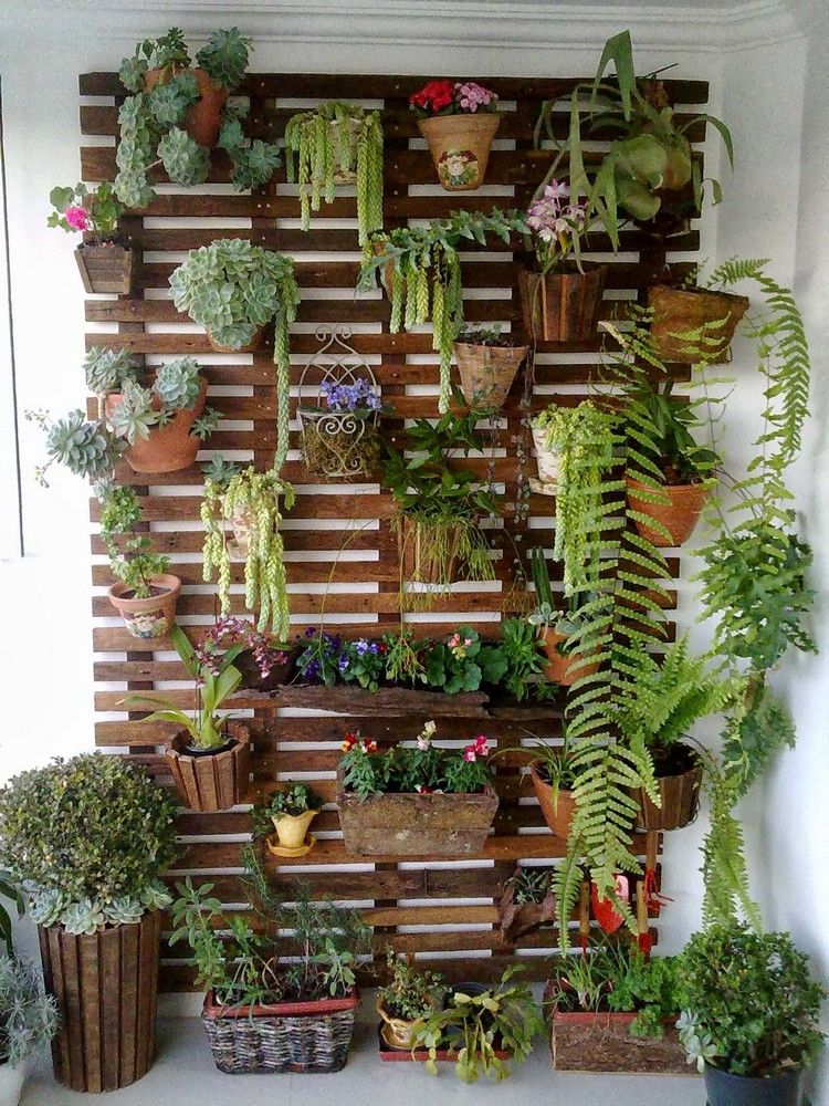 Creating an Impressive Vertical Garden with Garden Planter Wall