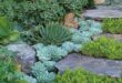 backyard ideas rocks