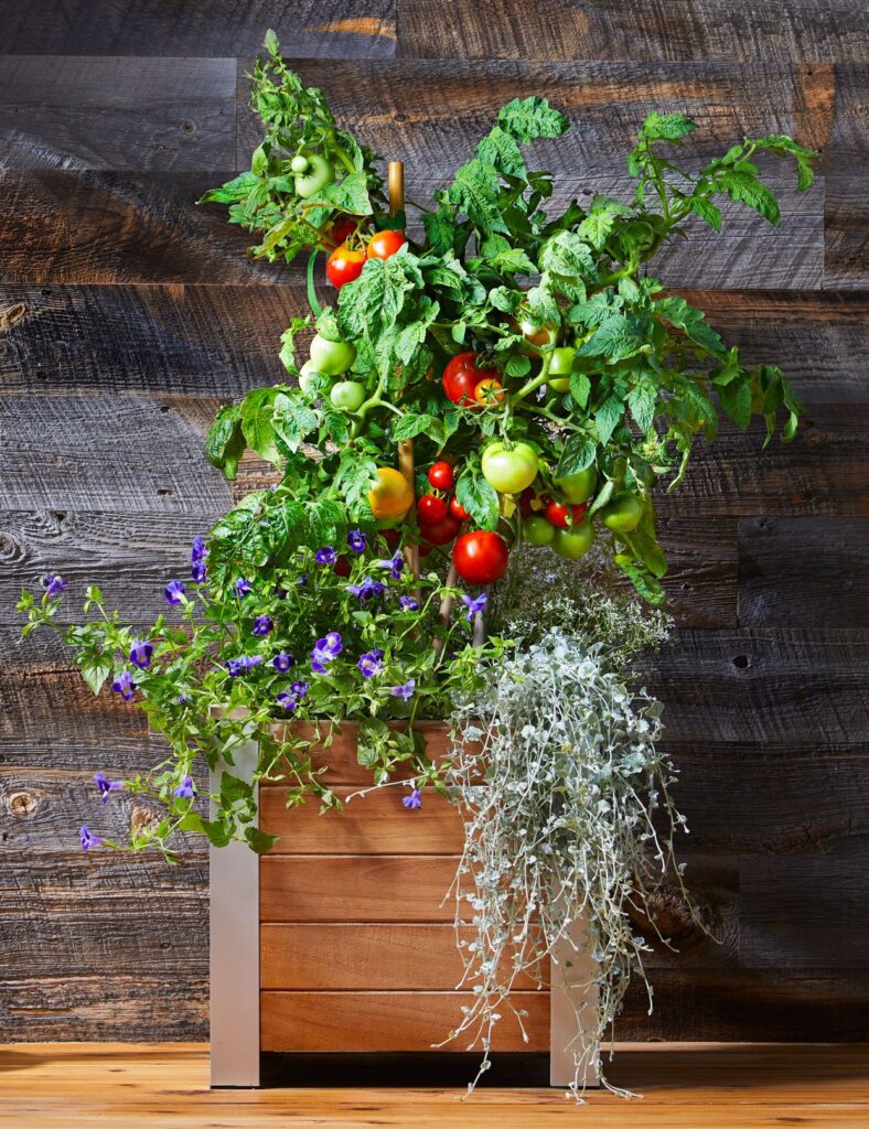 container garden ideas