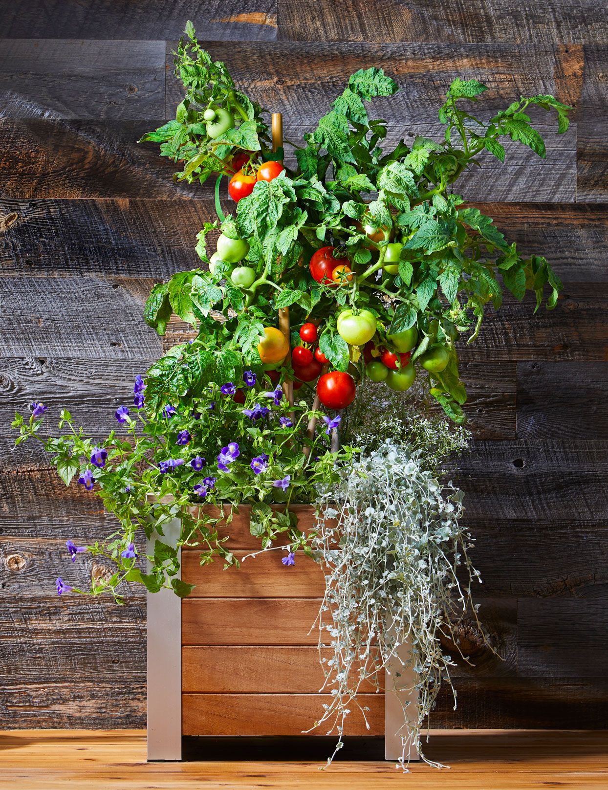 Creative Container Garden Ideas for Every Space