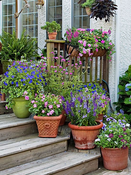 Creative Container Gardening: Fresh Ideas for Your Outdoor Space