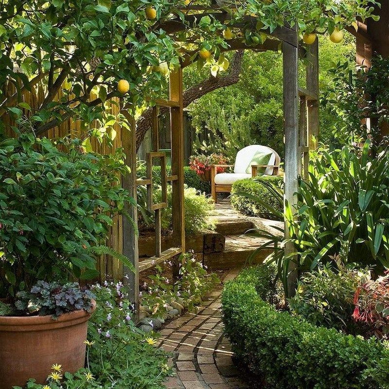 garden ideas with pots