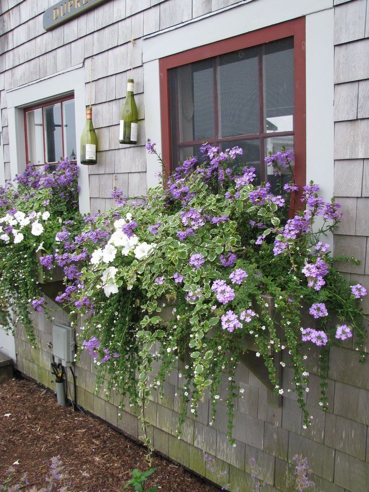 Creative Container Gardening: Fun and Unique Ways to Spice Up Your Garden with Pots