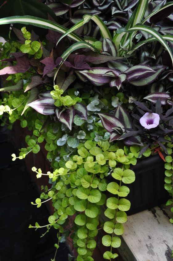 Creative Container Gardening Ideas for Small Spaces