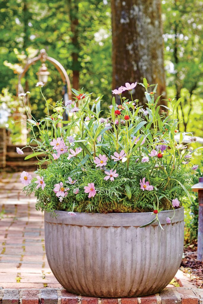 garden ideas with pots