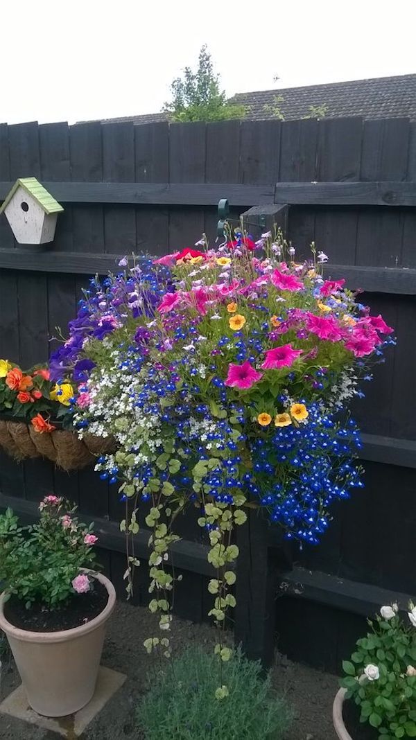 Creative Container Gardening Ideas for Your Yard