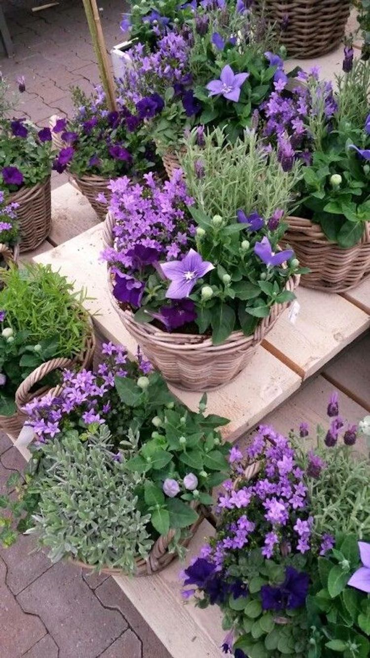 Creative Container Gardening: Innovative Ideas for Using Pots in Your Garden