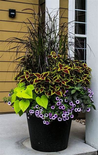 Creative Container Gardening: New Ways to Showcase Your Plants in Pots